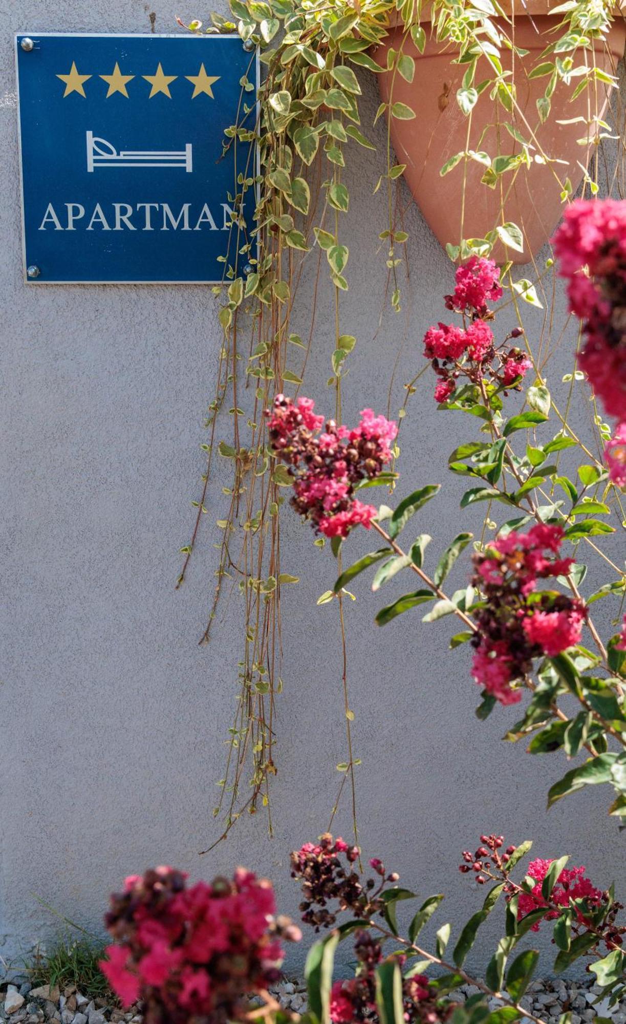 Luxury Apartment Alba With Pool Канфанар Екстериор снимка